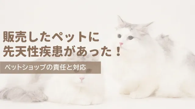 猫 先天性疾患 ブリーダーから迎える？絶対知るべき保証とトラブル